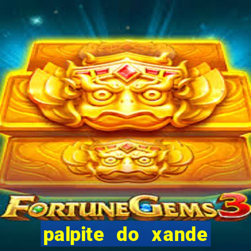 palpite do xande de hoje